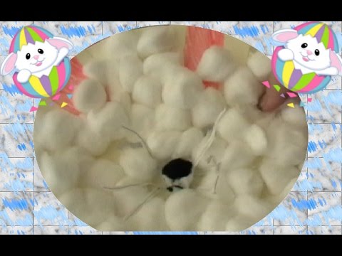 Easter Crafts: FLUFFY BUNNY MASK! - YouTube