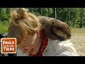 Ein Otter namens Nemo (Doku) | Reportage für Kinder | Paula und die wilden Tiere