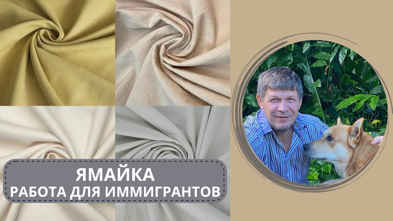 Работа для эмигрантов на Ямайке. #jamaica #ямайка - YouTube