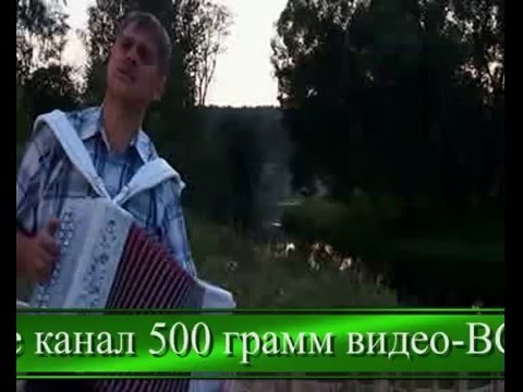 Улица горького песня слушать. Стояла чудная сосна под гармонь. 500 Грамм видео ❤♔. Плачет русская гармошка мп3.