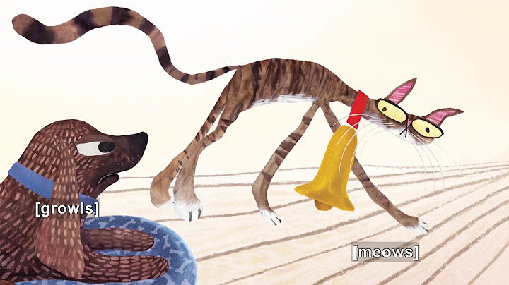 They All Saw a Cat (Accessible Preview)
