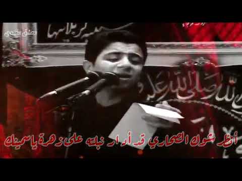 مقطع من قصيدة بابا بالفارسي للفقيد الغالي المرحوم السيد محمد باقر العلوي طيب الله ثراه