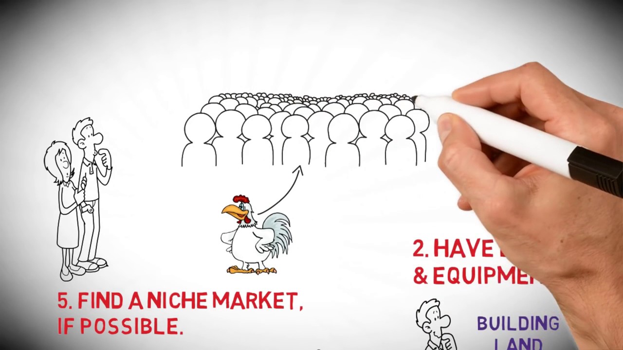 How to Start Chicken Farm Business Organic Broiler Poultry Farming of ...