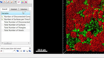Analysing biofilms in Imaris - Tutorial