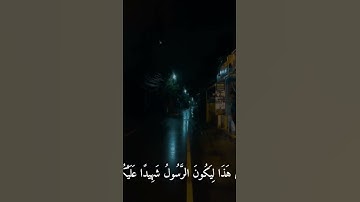 ماهر المعيقلي سورة الحج مِلَّةَ أَبيكُم إِبراهيمَ هُوَ سَمّاكُمُ المُسلِمينَ #quran #القرآن_الكريم #