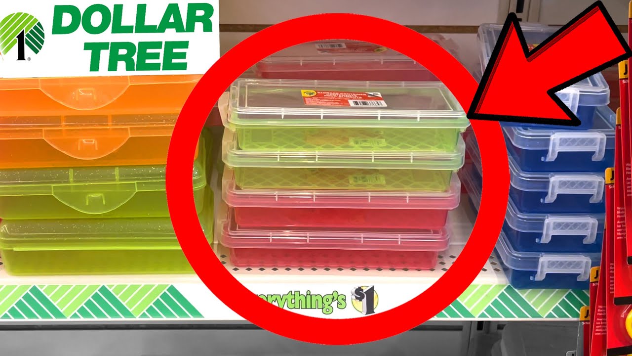 15 Best Items To Buy at Dollar Tree This Summer