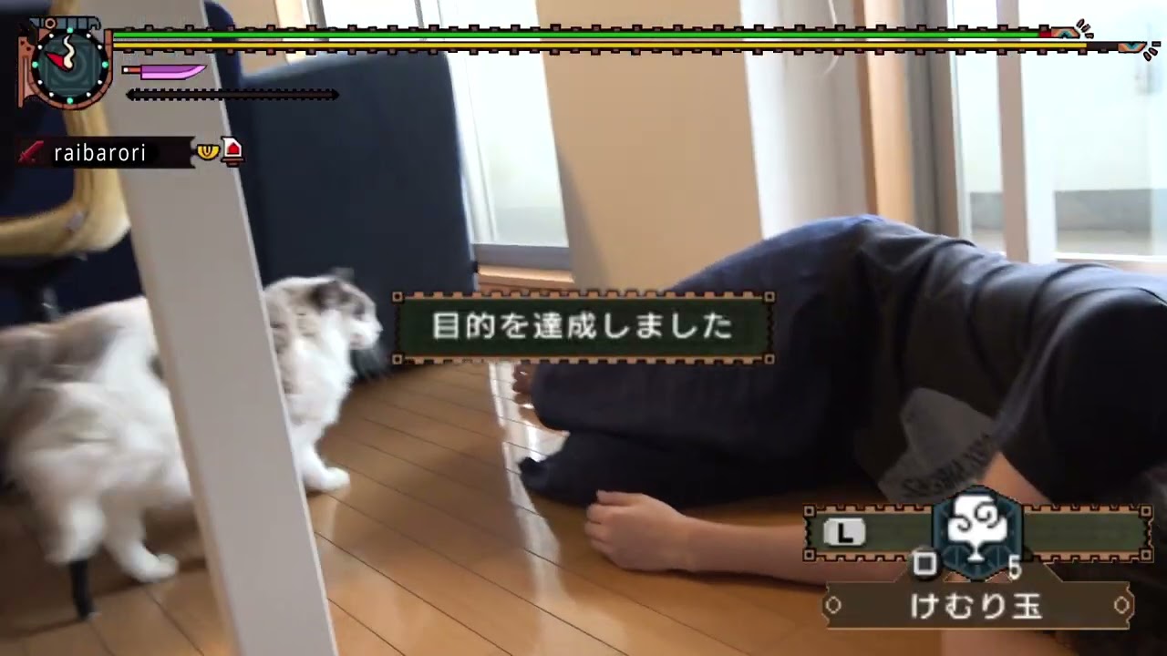 モンハン】家で飼ってる猫が悪魔ネコなやつ。 モンハン動画まとめ