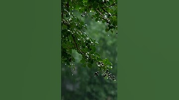 اجمل قرائة . سورة الفاتحة . فاتحة الكتاب او أم الكتاب أو السبع المثاني