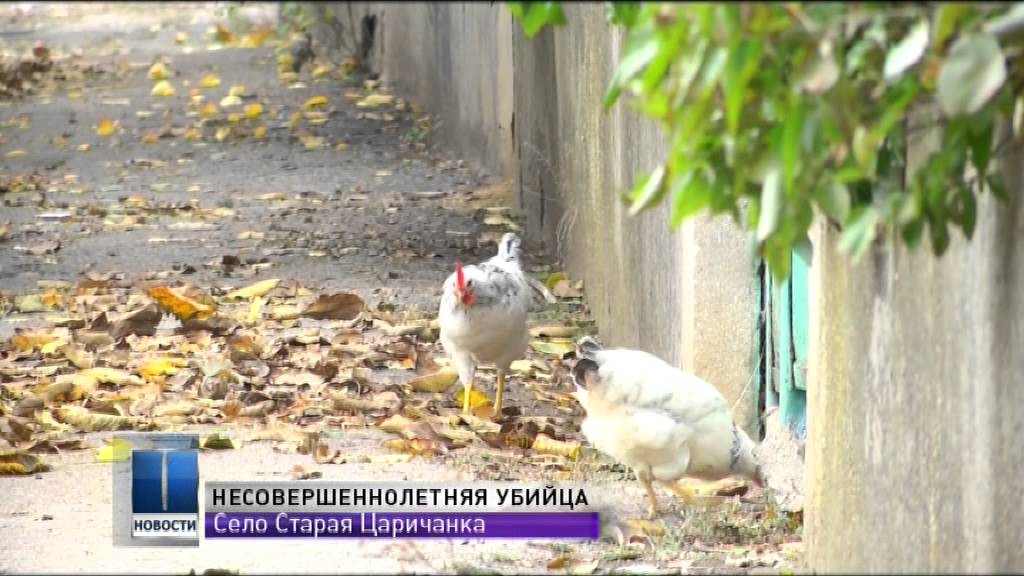 В Белгород — Днестровском районе школьница убила своего соседа