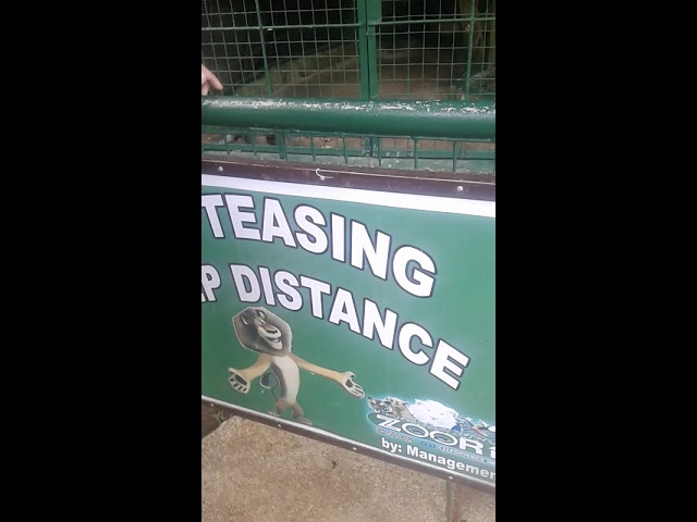 Field trip 2019, NHC Elementary School(13) class=