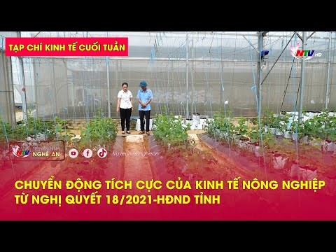 Tạp chí KT cuối tuần: Chuyển động tích cực của kinh tế nông nghiệp từ Nghị quyết 18/2021-HĐND tỉnh