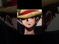 POV: You realized the Straw Hat only belongs to "HIM" 👒💀