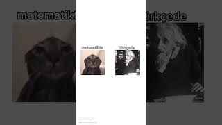 Tavuklar Çiçek Açmış Ellerinde Poğaça