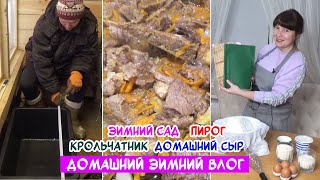 видео: Зимний сад. Домашний сыр. Пирог из школьной тетради. Как я тушу мясо. Переделки в крольчатнике. картинка: Зимний сад. Домашний сыр. Пирог из школьной тетради. Как я тушу мясо. Переделки в крольчатнике.