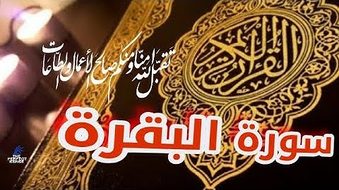 سورة البقرة و سورة آل عمران وسورة المائدة تجميع لافضل اصوات القراء يمكنك تسمعها تلاوة خاشعة