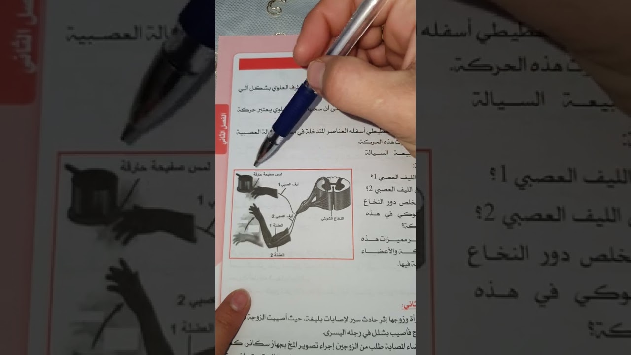 المنعكس الفطري..حل تمرين مع الشرح للسنة الرابعة متوسط