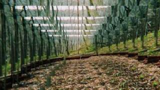 Joshua Mackie - Death