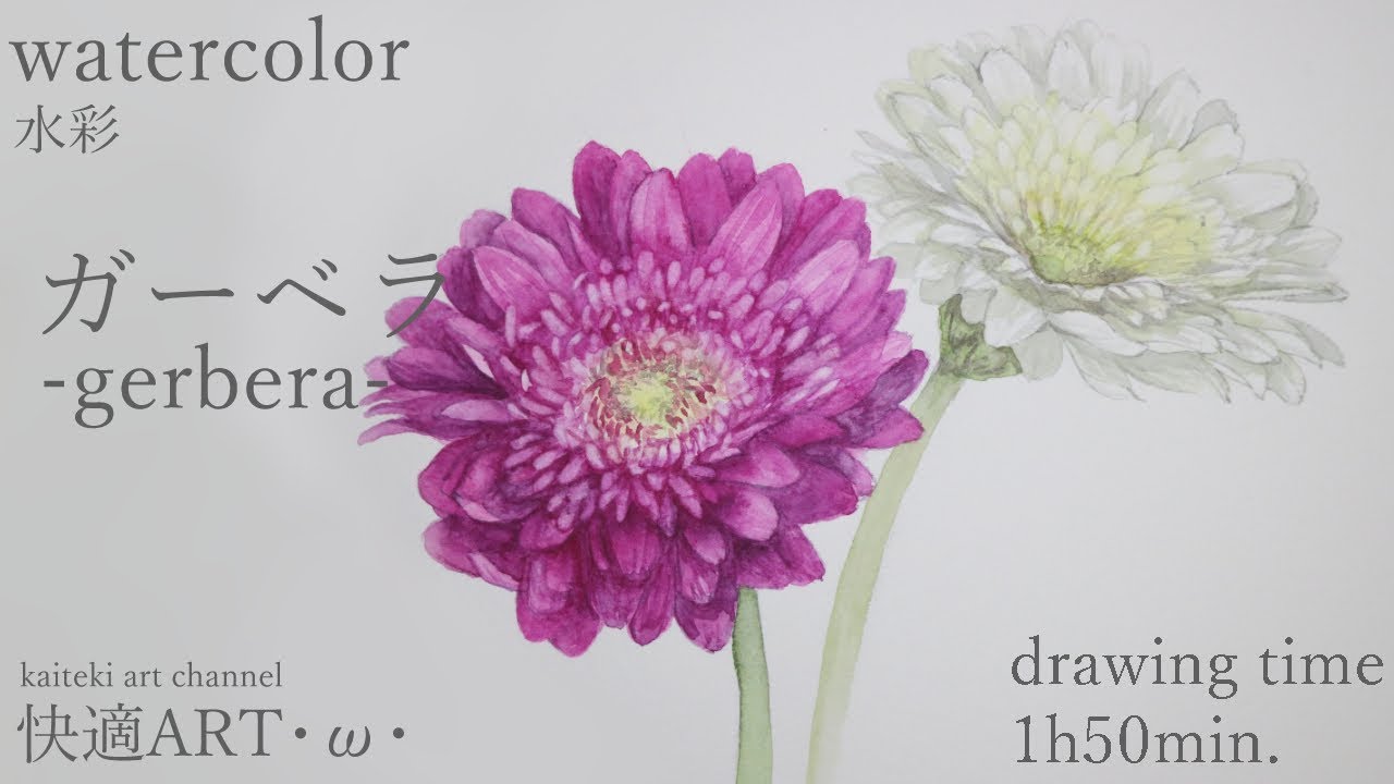 Watercolor Gerbera W ガーベラ 水彩 Youtube