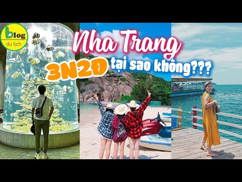 Chi tiết lịch trình du lịch Nha Trang 3 ngày 2 đêm tự túc có bảng giá