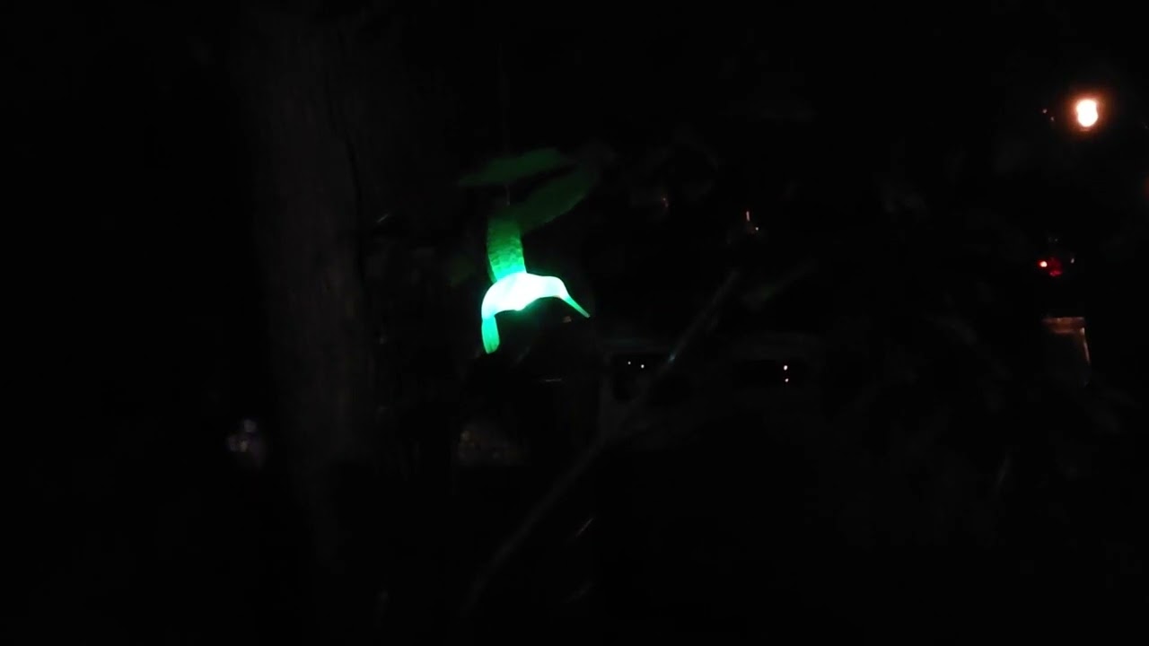 Pocono Palace solar lights