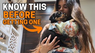 Are Rottweilers Good For First Time Owners?