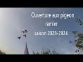 Ouverture aux pigeon ramier saison 20232024