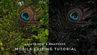 Lightroom and snapseed editing | Moody Tone | Peacock feathers photo editing | Mobile Tutorial screenshot 2