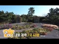 콘테나 &amp; 정원의 발견 예고 [KBS제주] 20231117방송