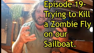 Sailing Vlog- This Week Man vs Zombie Fly. Living aboard a 40ft sailboat. Reality of boat life.