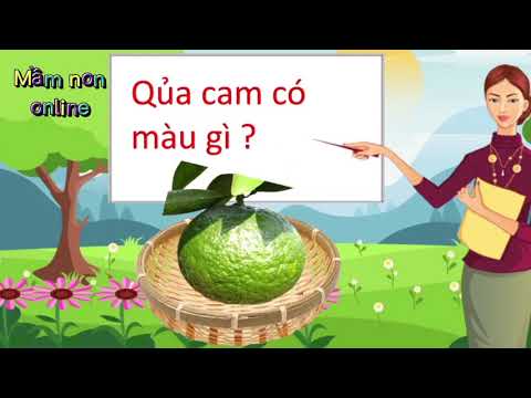 Dạy trẻ khám phá quả cam