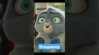 кот под прикрытием #Владимер#Гектор#