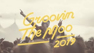 GTM Bendigo 2019 | Groovin the Moo