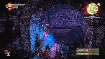 The Witcher 2 Gameplay IN THE CLAWS OF MADNESS