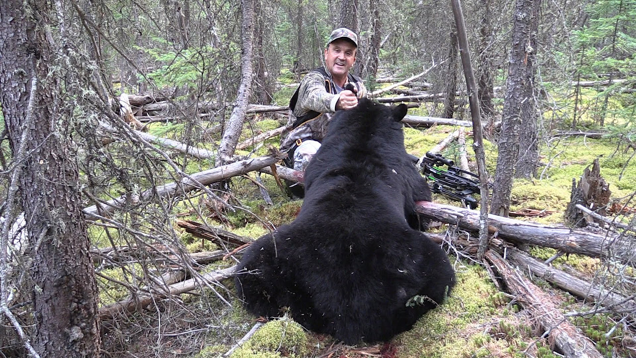 big crossbow Update New Big Crossbow Bear