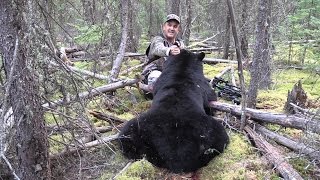 Big Crossbow Bear
