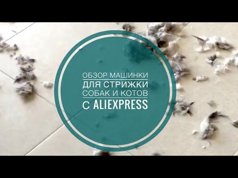Обзор машинки для стрижки собак и котов с Aliexpress