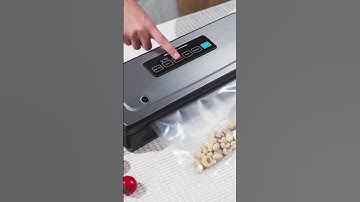 Best Vacuum Sealers 2024: Seal and Save