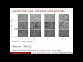 TextureVAE : Learning Interpretable Representations of Material Microstructures Using VAE by Avadhut