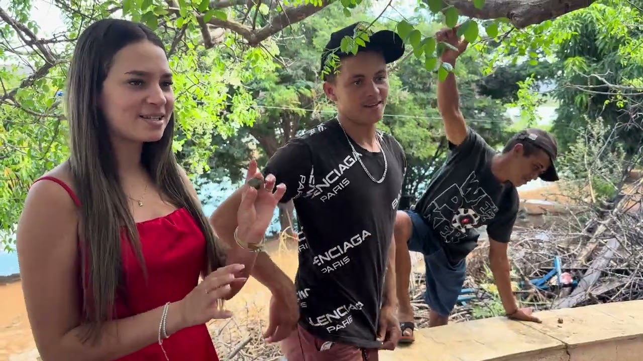 VAMOS ASSAR AS CASTANHAS