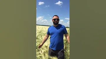 Оз. Ячмень (двуручка) 