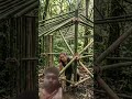 girls Build a bamboo shelter in forest #camping #viralvideo #buscraft #survivalskills #survivalcamp