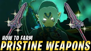 How to Farm the Most POWERFUL SECRET Pristine Royal Guard Weapons in Tears of the Kingdom