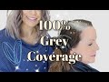 ROOT TOUCH UP TUTORIAL 100% GREY COVERAGE! //Wholy Hair