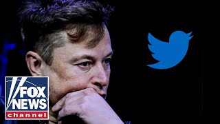 Elon Musk 'not super worried' about concerns of Twitter's collapse