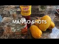 MANGO SHOTS 🥭🥃