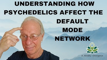 Understanding How Psychedelics Affect the Default Mode Network