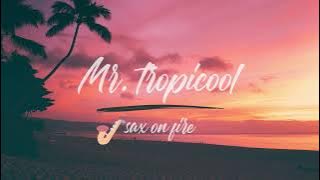 Tropical Sax On Fire 🎷🔥  / Ehrling - Mr. Tropicool_dj Mix