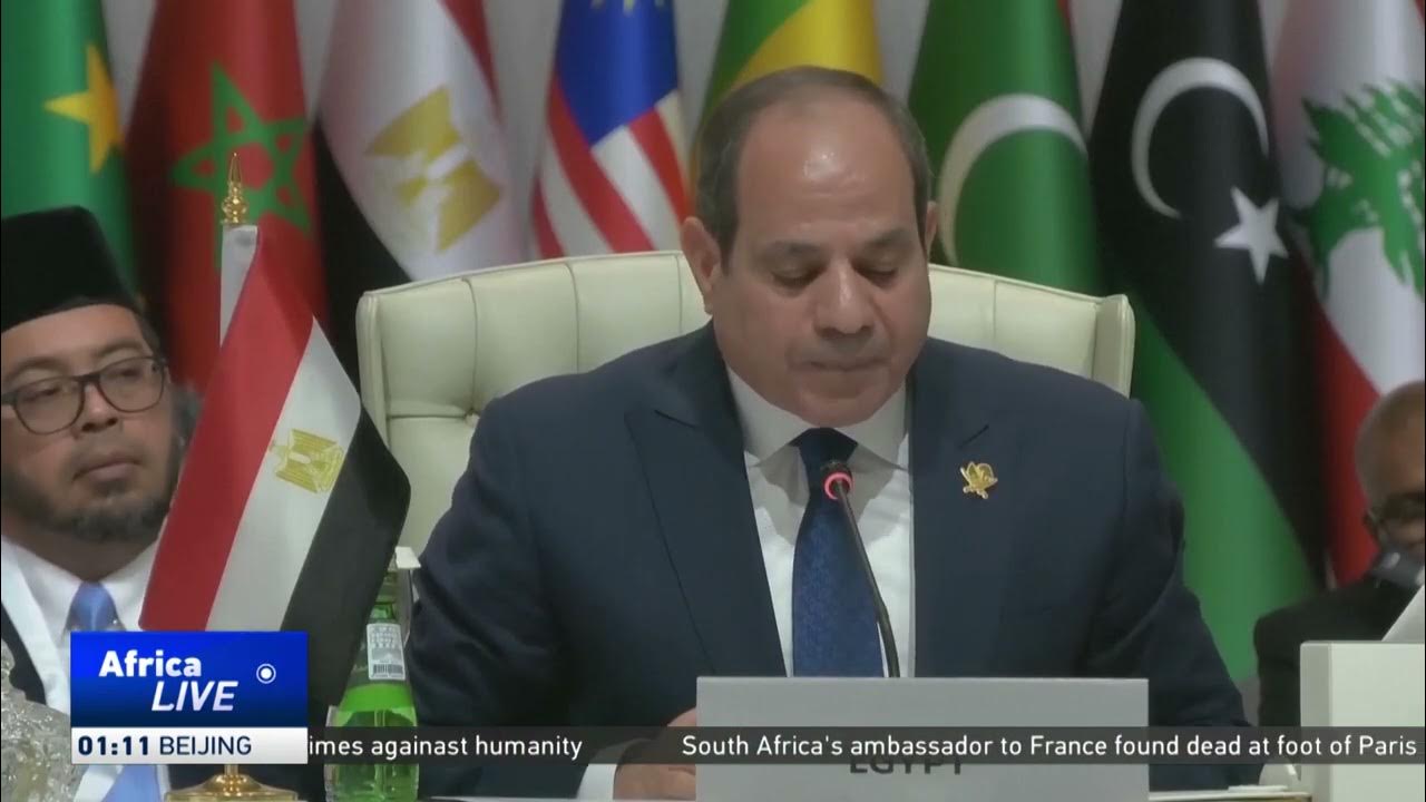 Arab nations back U.S. Gaza ceasefire plan with two-state caveat