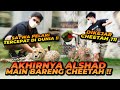 ALSHAD MASUK KANDANG CHEETAH !BALAPAN LARI LAWAN CHEETAH ? GA NYANGKA TERNYATA BEGINI KARAKTERNYA !!