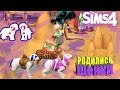 ТОМ 2 В The Sims 4 РОДИЛИСЬ ЩЕНКИ | НОВЫЙ ДОМ